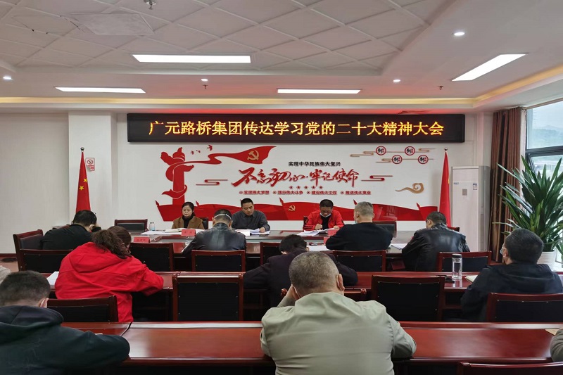 BG大游集团传达学习党的二十大精神